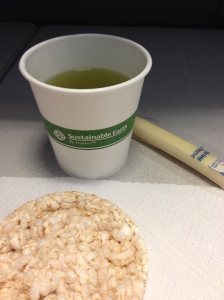 Snack #1: Green Japanese tea with one Splenda, one plain rice cake and one reduced fat string cheese.